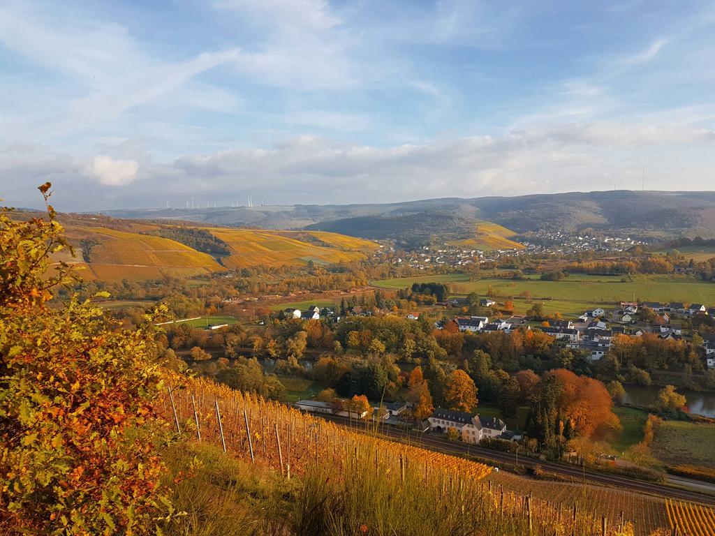 Haus Sonnenschein Apartment Wiltingen Bagian luar foto